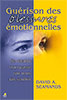 9782863141694, blessures émotionnelles, david seamands